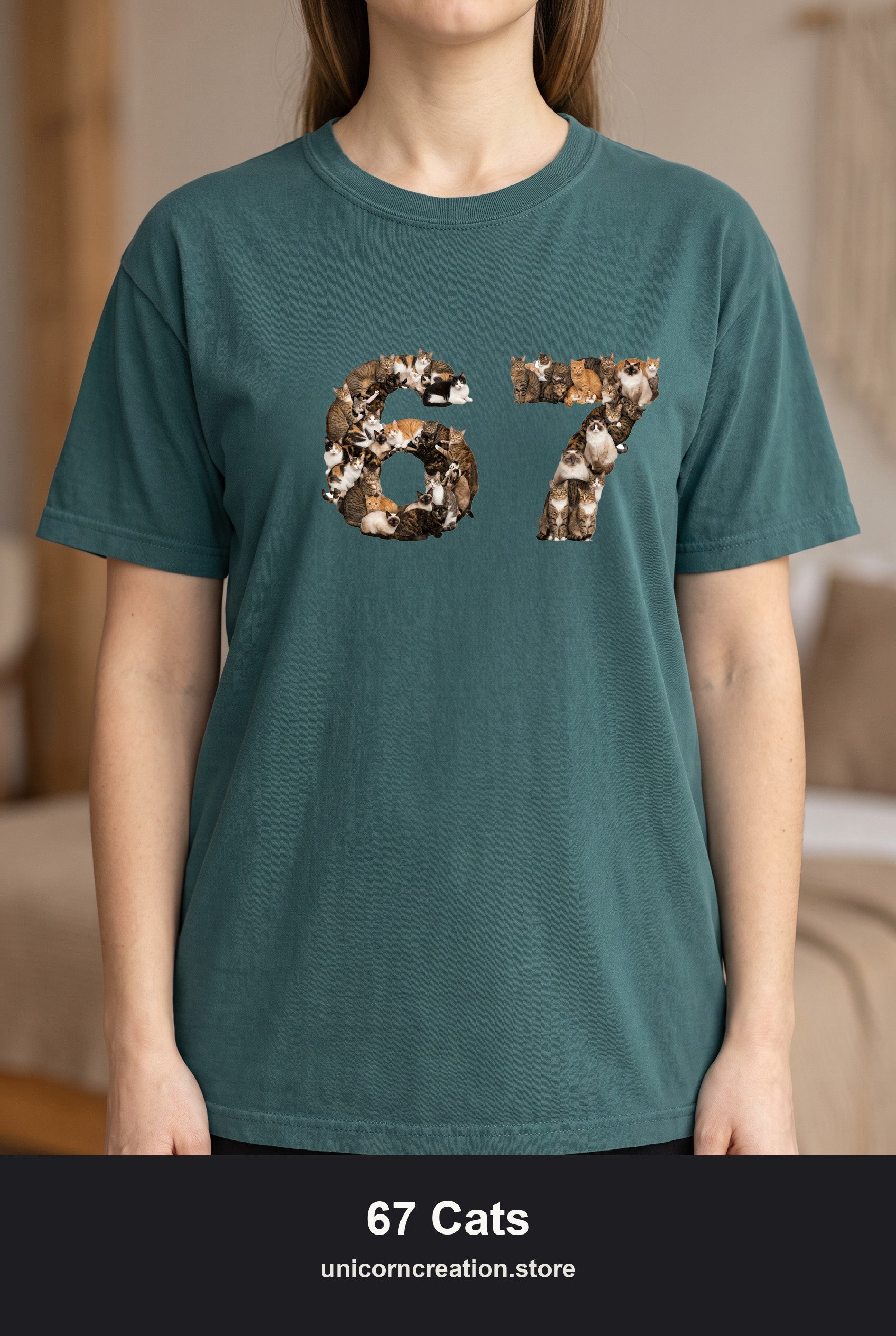 67 Cats Shirt, Funny 67 Meme Cat Tee, Trendy Cat Number Gift, Cat Lover Sweatshirt