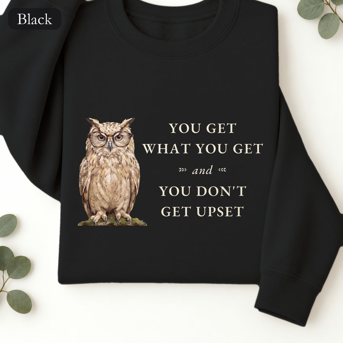 You Get What You Get Sweatshirt, Funny Teacher Owl Crewneck, Classroom Saying Shirt, Back to School Gift, Teacher Crewneck