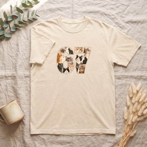 67 Cats Shirt, Funny 67 Meme Cat Tee, Trendy Cat Number Gift, Cat Lover Sweatshirt