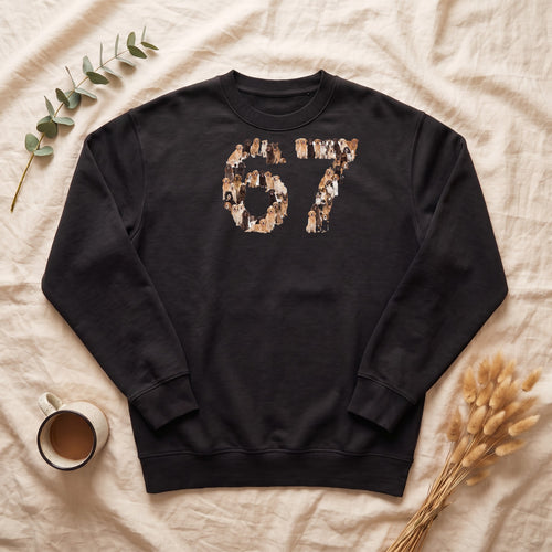 67 Dogs Shirt, Funny 67 Meme Dog Tee, Trendy Dog Number Gift, Dog Lover Sweatshirt
