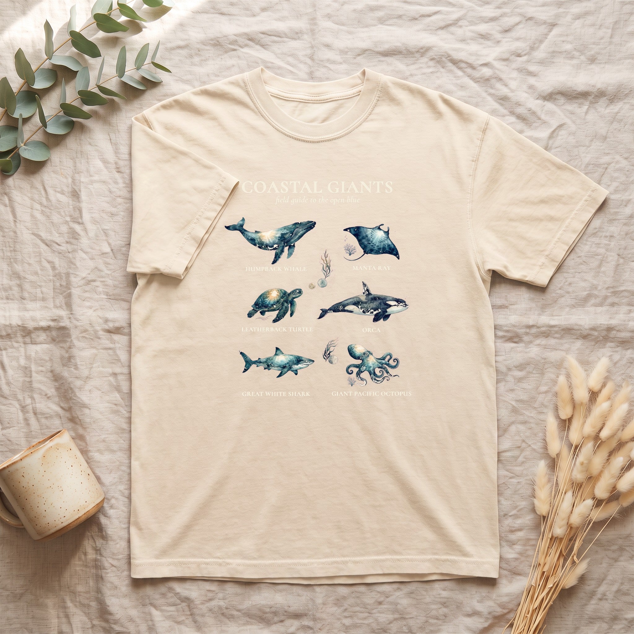 Coastal Giants Ocean Field Guide Shirt, Whale Manta Sea Turtle Tee, Marine Life Ocean Lover Gift, Nautical Sweatshirt