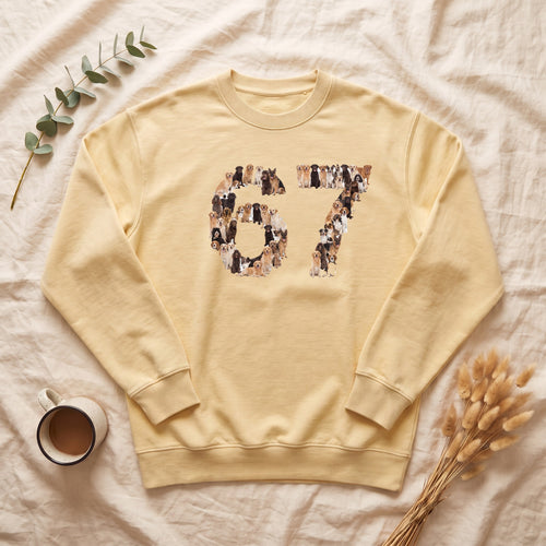 67 Dogs Shirt, Funny 67 Meme Dog Tee, Trendy Dog Number Gift, Dog Lover Sweatshirt