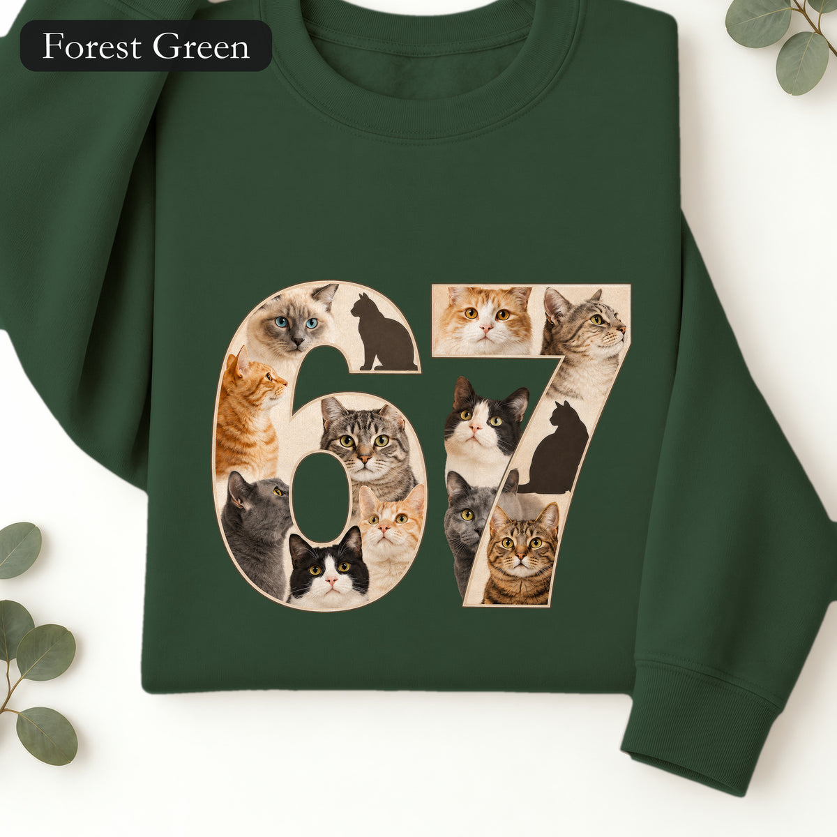 67 Cats Shirt, Funny 67 Meme Cat Tee, Trendy Cat Number Gift, Cat Lover Sweatshirt