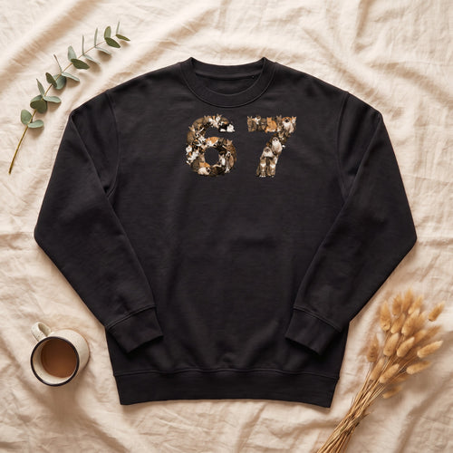 67 Cats Shirt, Funny 67 Meme Cat Tee, Trendy Cat Number Gift, Cat Lover Sweatshirt