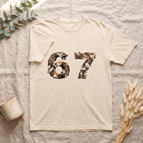 67 Cats Shirt, Funny 67 Meme Cat Tee, Trendy Cat Number Gift, Cat Lover Sweatshirt