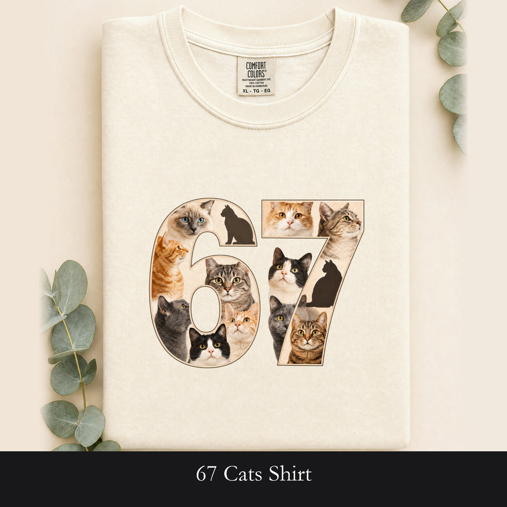67 Cats Shirt, Funny 67 Meme Cat Tee, Trendy Cat Number Gift, Cat Lover Sweatshirt