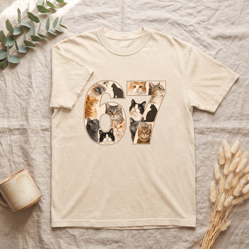 67 Cats Shirt, Funny 67 Meme Cat Tee, Trendy Cat Number Gift, Cat Lover Sweatshirt
