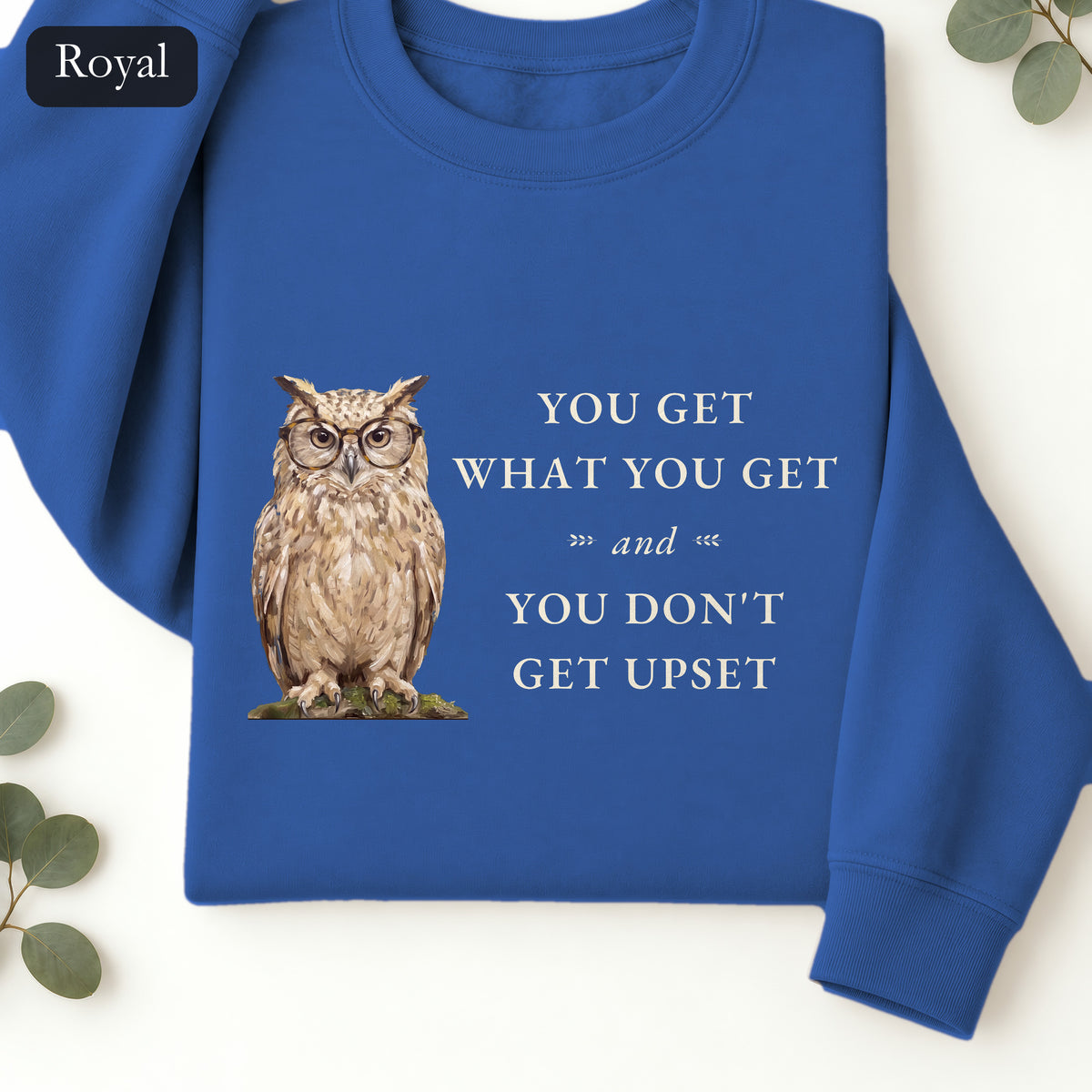 You Get What You Get Sweatshirt, Funny Teacher Owl Crewneck, Classroom Saying Shirt, Back to School Gift, Teacher Crewneck