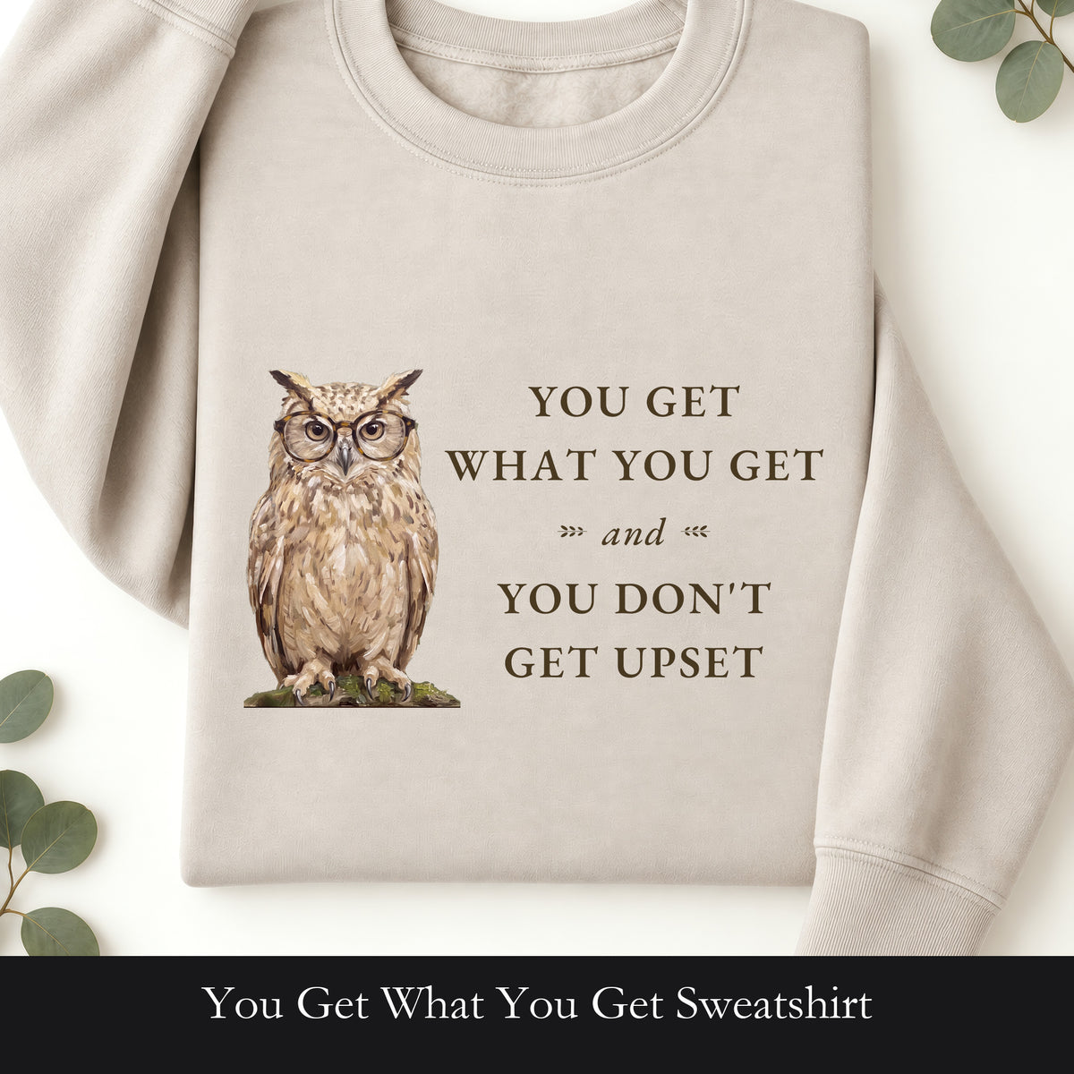 You Get What You Get Sweatshirt, Funny Teacher Owl Crewneck, Classroom Saying Shirt, Back to School Gift, Teacher Crewneck