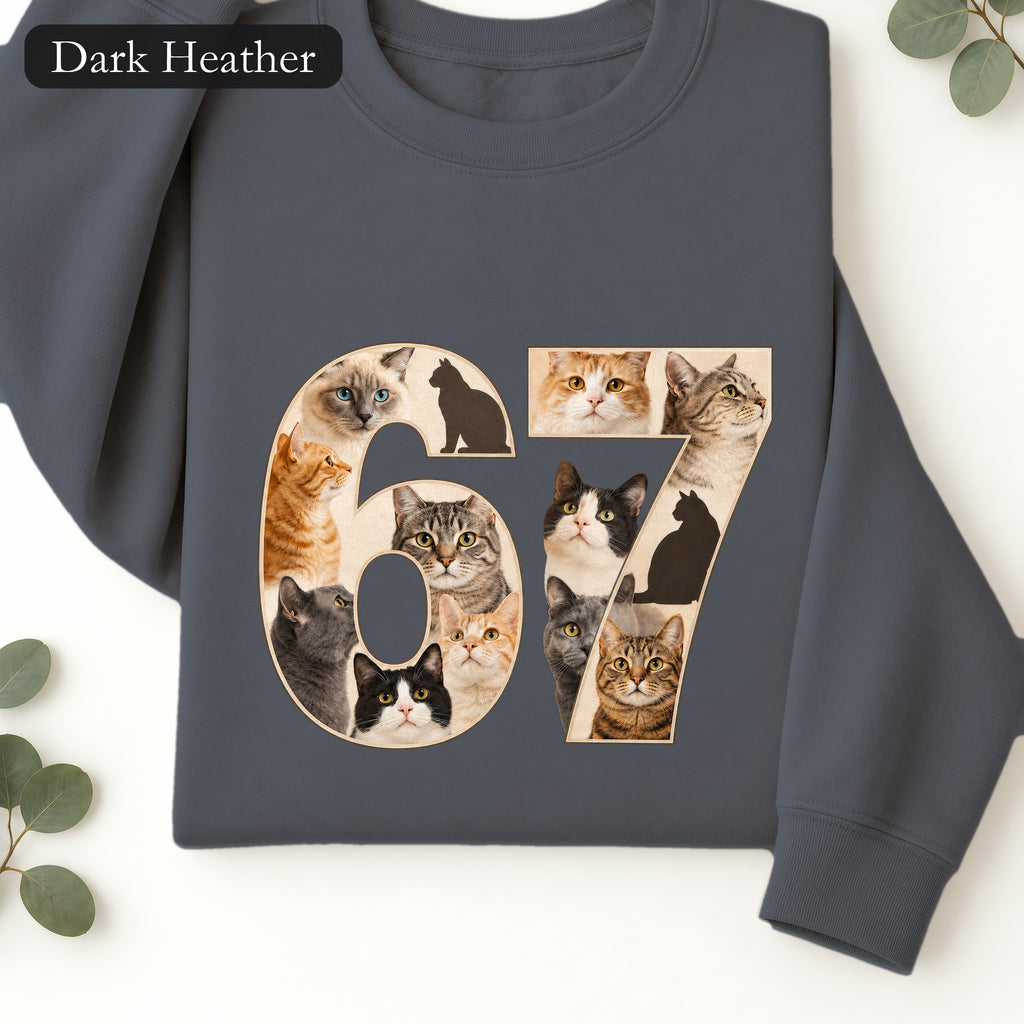 67 Cats Shirt, Funny 67 Meme Cat Tee, Trendy Cat Number Gift, Cat Lover Sweatshirt